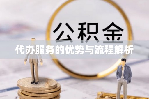 山阴代办服务的优势与流程解析