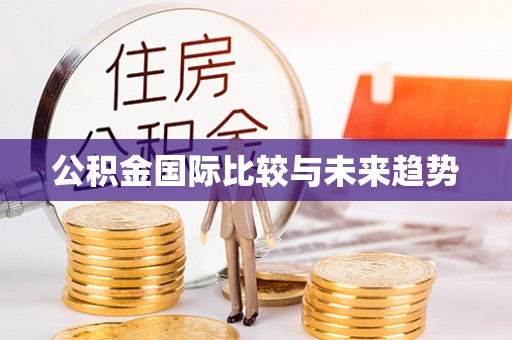 山阴公积金国际比较与未来趋势