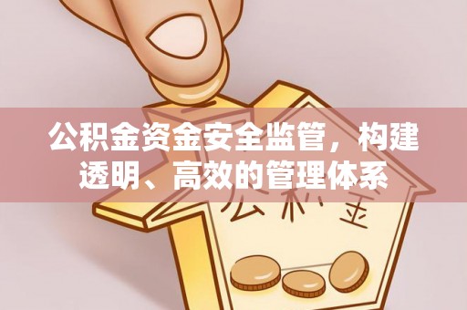 山阴公积金资金安全监管，构建透明、高效的管理体系