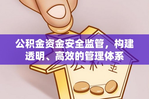 山阴公积金资金安全监管，构建透明、高效的管理体系
