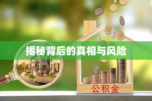 山阴揭秘背后的真相与风险
