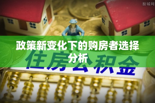 山阴政策新变化下的购房者选择分析