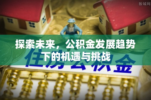 山阴探索未来，公积金发展趋势下的机遇与挑战