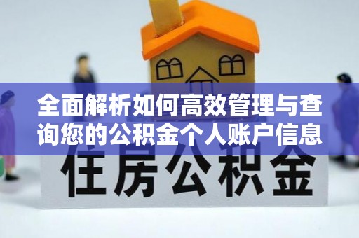 山阴全面解析如何高效管理与查询您的公积金个人账户信息