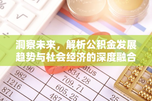 山阴洞察未来，解析公积金发展趋势与社会经济的深度融合