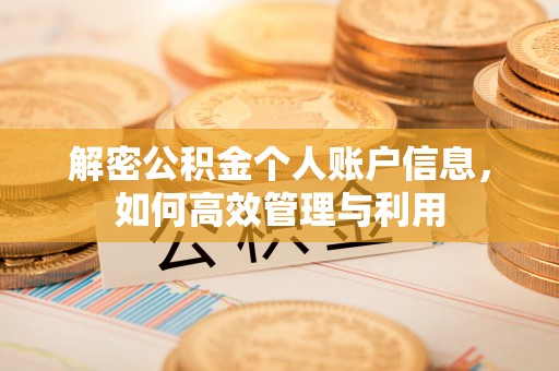 山阴解密公积金个人账户信息，如何高效管理与利用