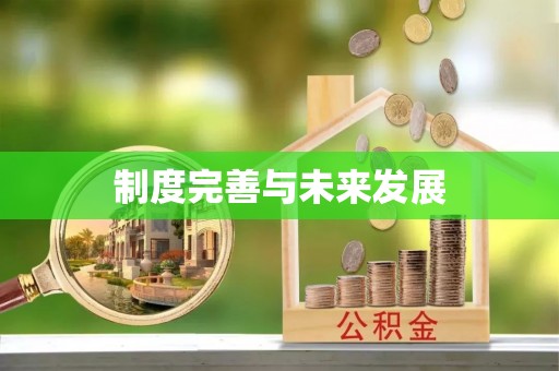 山阴制度完善与未来发展