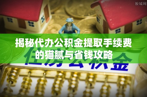 山阴揭秘代办公积金提取手续费的猫腻与省钱攻略