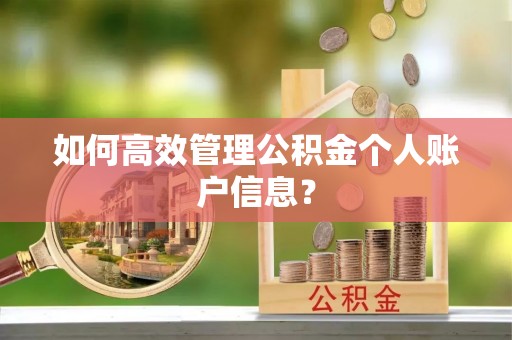 山阴如何高效管理公积金个人账户信息？