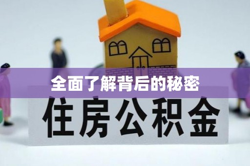 山阴全面了解背后的秘密