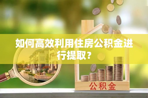 山阴如何高效利用住房公积金进行提取？