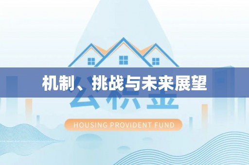 山阴机制、挑战与未来展望