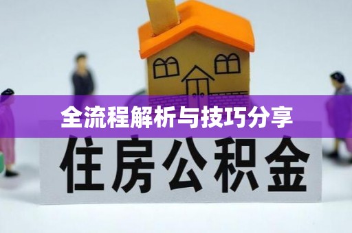 山阴全流程解析与技巧分享