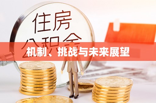山阴机制、挑战与未来展望